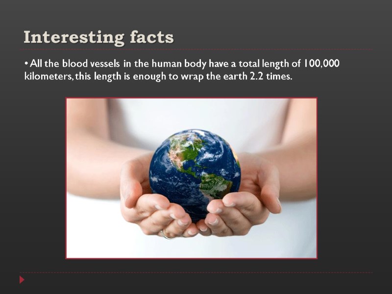 Interesting facts  All the blood vessels in the human body have a total